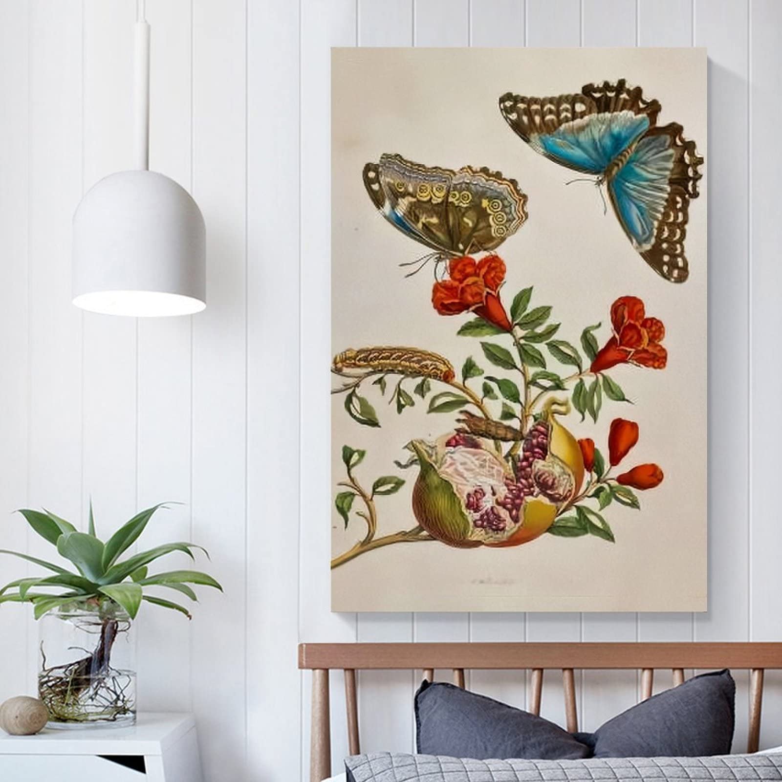 Amazon.co.jp: Maria Sibylla Merian マリア・ジビーラ